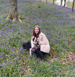 Bluebells in Flakebridge wood