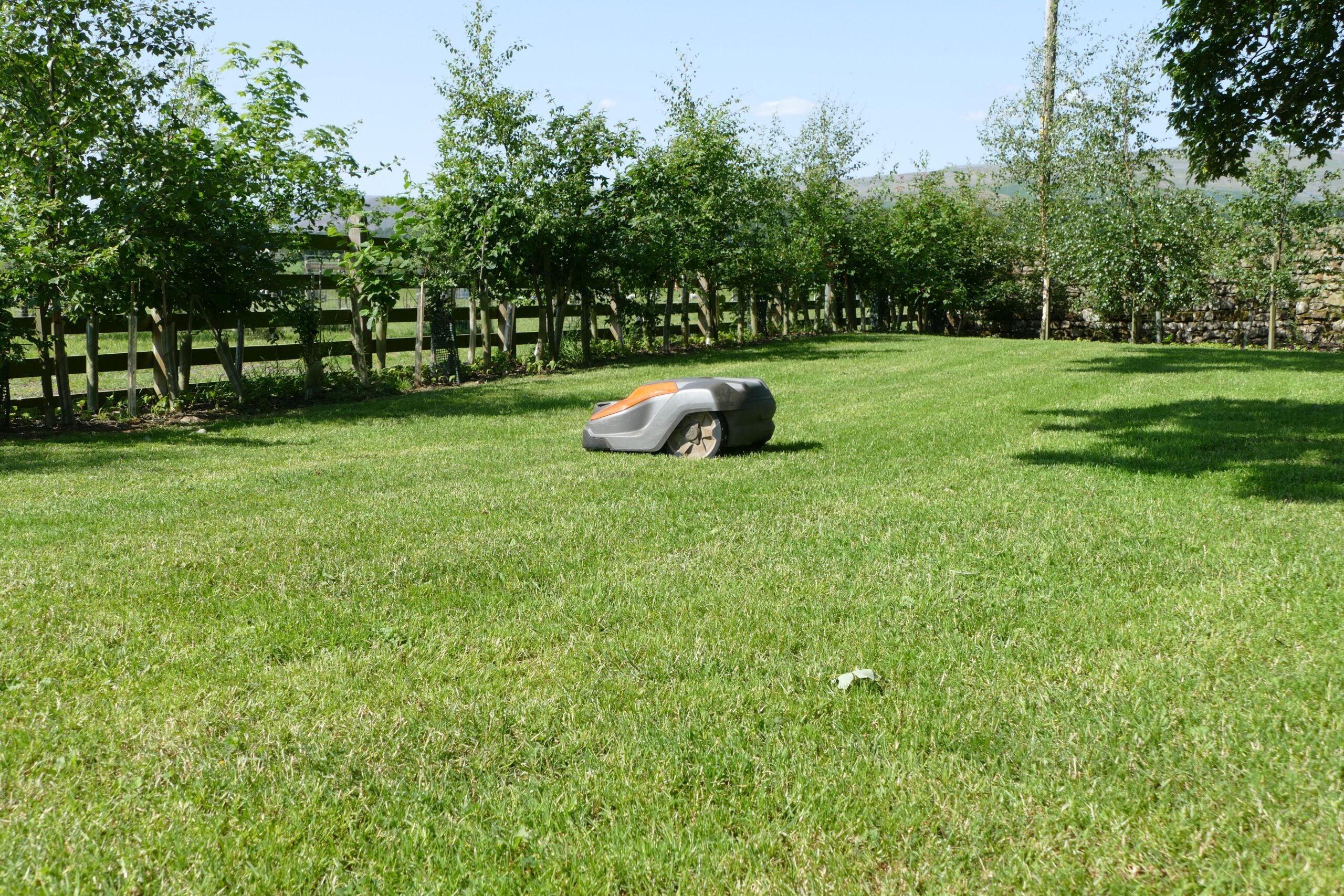 Across to the orchard